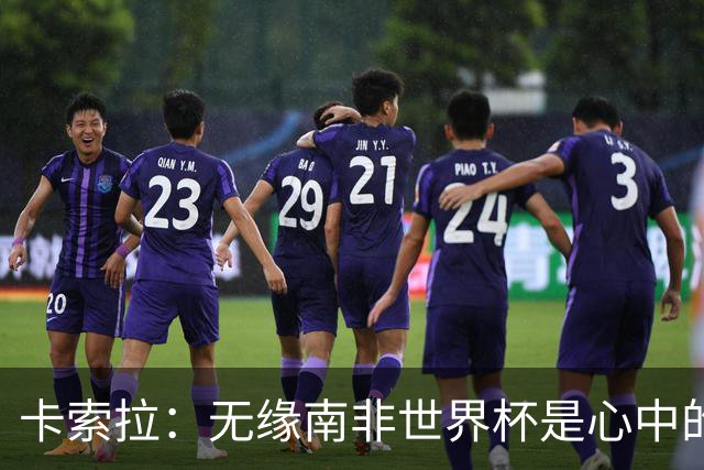 卡索拉：无缘南非世界杯是心中的刺