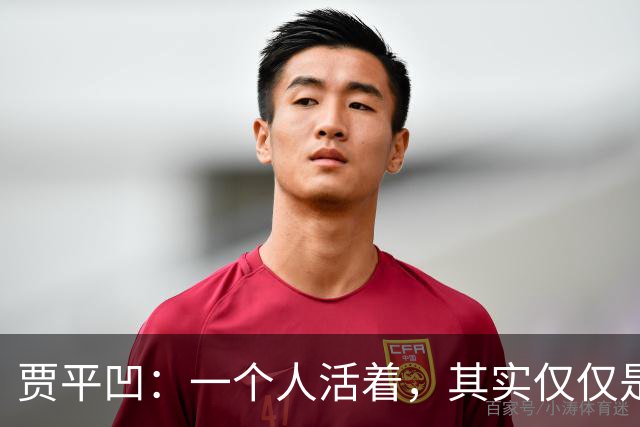 贾平凹：一个人活着，其实仅仅是一个人的事——快乐是自己的，苦难也是自己的