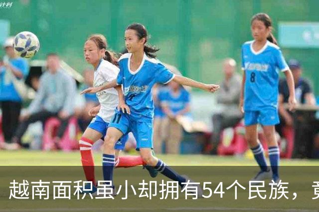 越南面积虽小却拥有54个民族，竟还将中国汉族分成三个民族？
